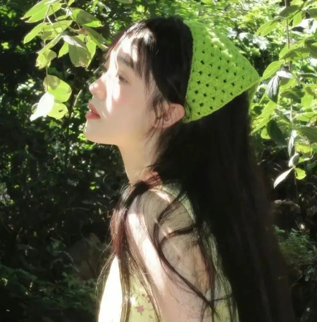 双姝怨
